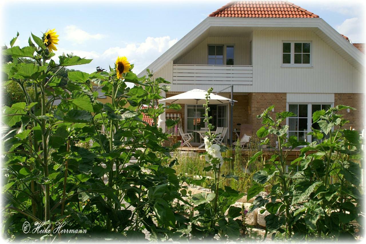 Apartment Seerose Remseck am Neckar Eksteriør bilde